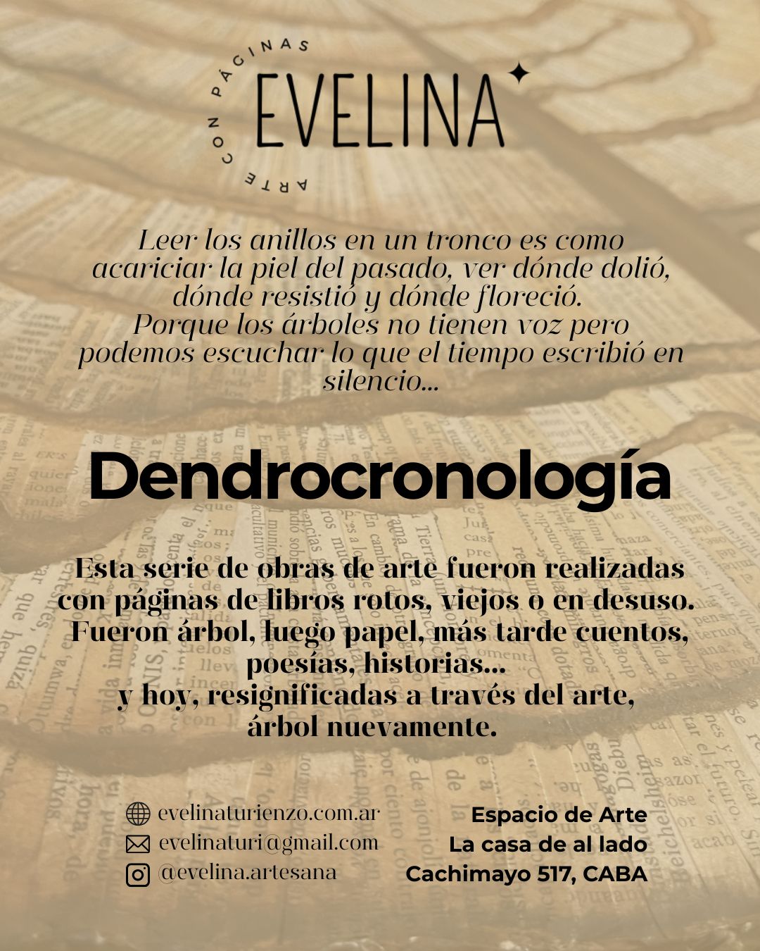 Imagen de "Dendrocronología"